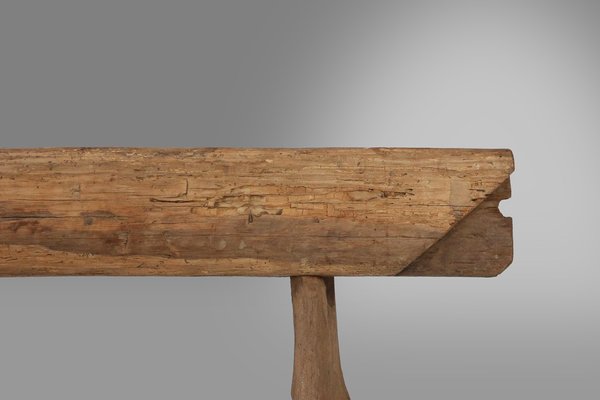 Rustic Tree Trunk Bench, France, 1850s-YSY-1822056