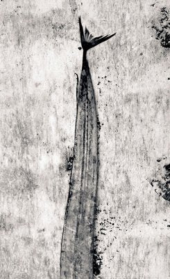 Sabre, 1984, Archival Pigment Print-OBQ-942653