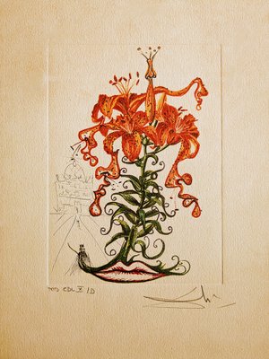 Salvador Dali, Flowers: Lilium Aurancacium et labra barocantia, 1972, Original Etching-NRC-1720066