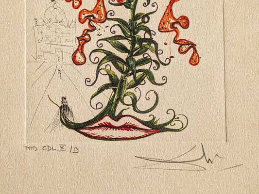 Salvador Dali, Flowers: Lilium Aurancacium et labra barocantia, 1972, Original Etching-NRC-1720066