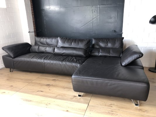 Sample Ring Leather Sofa in Brown from Musterring International-LGU-2018221