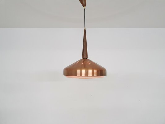 Sandinavian Modern Copper and Wood Pendant Light, 1960s-ZO-1407670