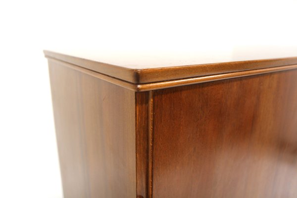 Scandinavian Mahogany Cabinet, Sweden, 1960s-GEK-2022906