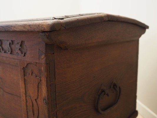 Scandinavian Oak Chest, 18th Century-VND-1791678