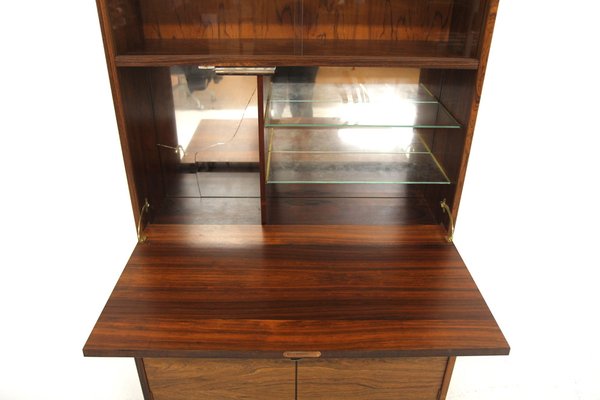 Scandinavian Rosewood Bar Cabinet, Sweden, 1960s-GEK-1764755