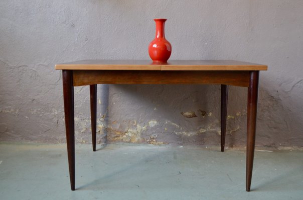 Scandinavian Rosewood Dining Table, 1960s-AIU-782907