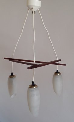 Scandinavian Style 3-Flamed Ceiling Lamp in Teak and Glass Shade, 1960s,-HOI-1417706