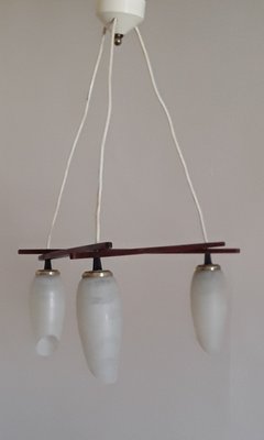 Scandinavian Style 3-Flamed Ceiling Lamp in Teak and Glass Shade, 1960s,-HOI-1417706