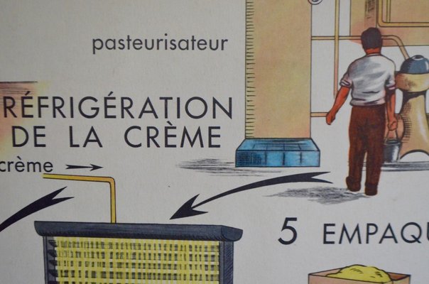 School Poster Depicting Dairy from Éditions Rossignol-AIU-1337898