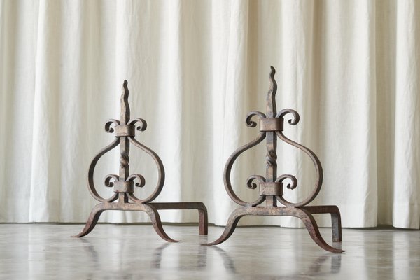 Sculptural Andirons or Fire Dogs in Wrought Iron, Early 20th Century, Set of 2-FEW-2024222