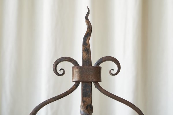 Sculptural Andirons or Fire Dogs in Wrought Iron, Early 20th Century, Set of 2-FEW-2024222