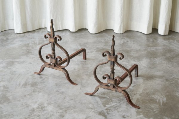 Sculptural Andirons or Fire Dogs in Wrought Iron, Early 20th Century, Set of 2-FEW-2024222