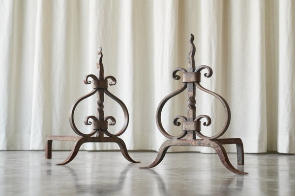 Sculptural Andirons or Fire Dogs in Wrought Iron, Early 20th Century, Set of 2-FEW-2024222