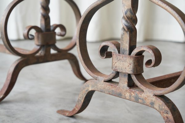 Sculptural Andirons or Fire Dogs in Wrought Iron, Early 20th Century, Set of 2-FEW-2024222