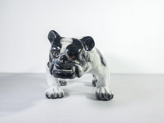 Sculpture of Bulldog in Glazed Terracotta, France, 1920s-OJE-1718828