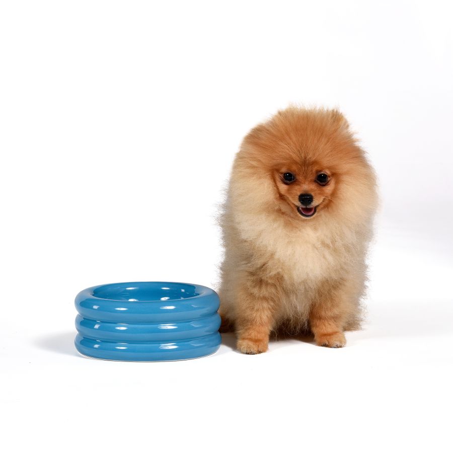 Ceramic Pet Bowl PETS (R)EVOLUTION DoggyMood by Seletti