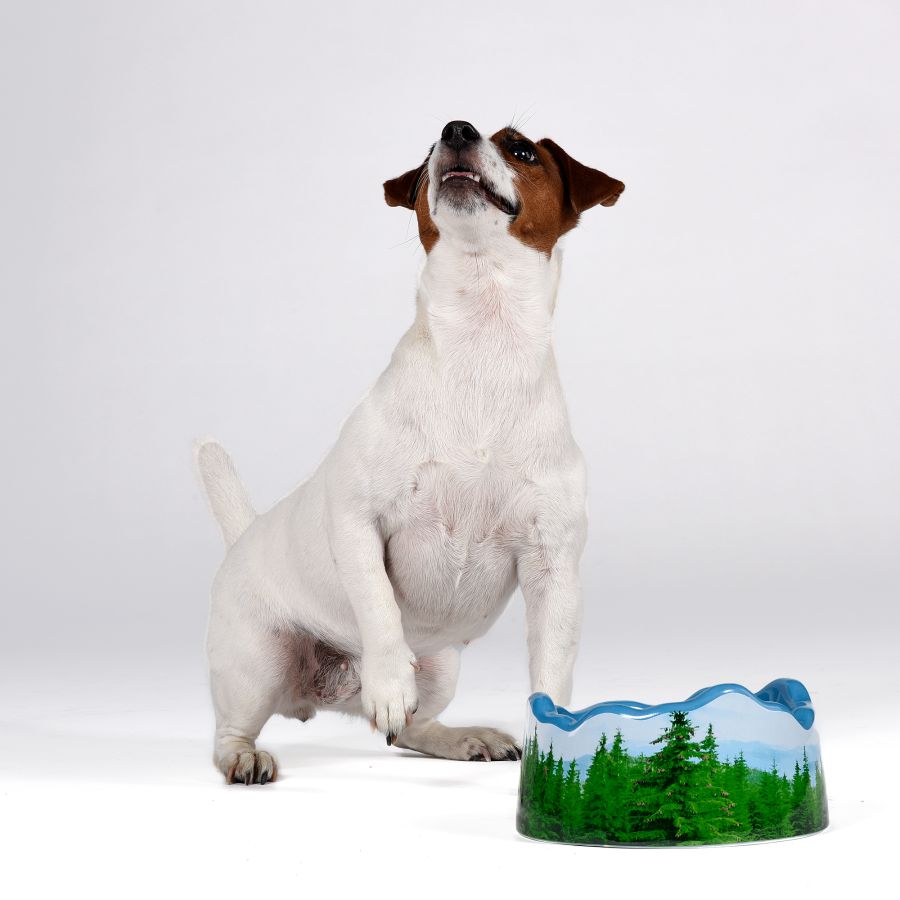 Ceramic Pet Bowl PETS (R)EVOLUTION Les Alpes by Seletti