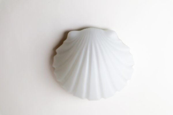 Seashell Lamp from Glashütte Limburg-ESB-1374099