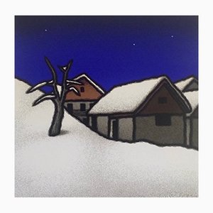 Seconda neve, 1995 Tino Stefanoni-PLZ-1180397