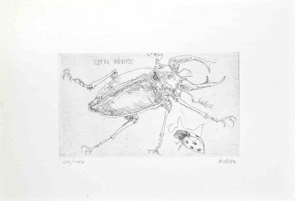 Sergio Barletta, Insects, Etching, 1974-ZCI-2029902