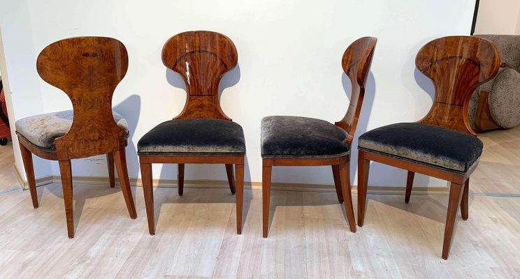 Set of 4 Biedermeier Ballon Chairs, Ash Veneer, Grey Velvet, Vienna, circa 1900-NNB-915187