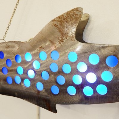 Shark Light Home Decor-FGA-922764