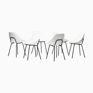 Shell Chairs by Pierre Guariche, Set of 6-WN-1077609