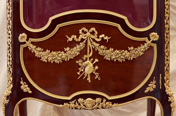 Showcase in Mahogany and Gilded Bronze in the style of Sormani, France, 19th Century-WMV-1791976