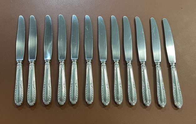 Silver Metal and Stainless Steel Knives from Paris Ravinet, Set of 12-QYF-1725333