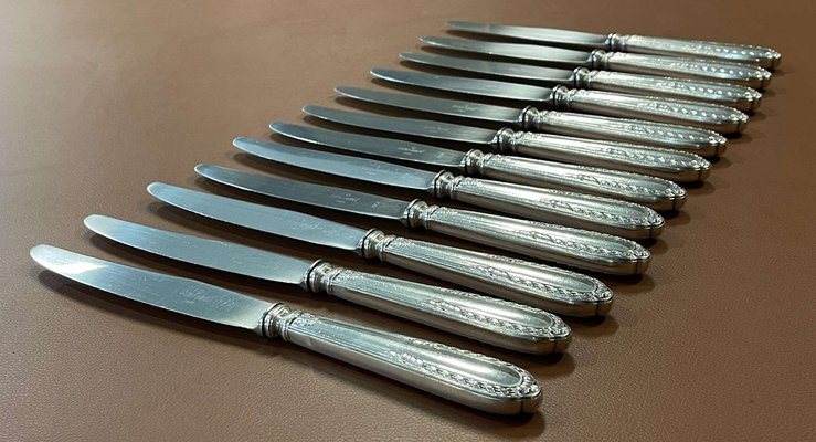 Silver Metal and Stainless Steel Knives from Paris Ravinet, Set of 12-QYF-1725333