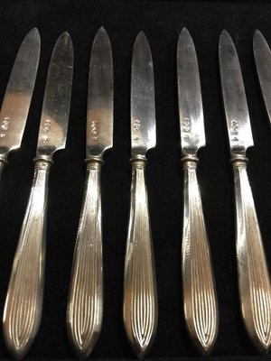 Silver Rib Model Fruit Knives, Netherlands, 1920s, Set of 12-UCH-1224926