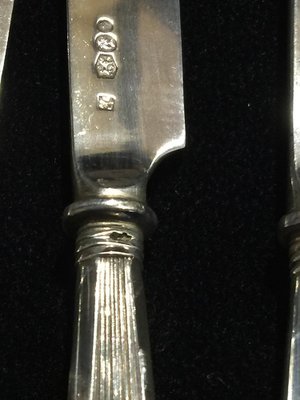 Silver Rib Model Fruit Knives, Netherlands, 1920s, Set of 12-UCH-1224926