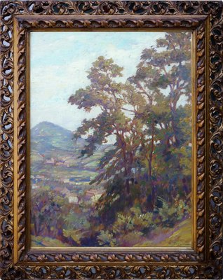 Silvio Travaglia, Il Monte Cero sui Colli Euganei, 1950s, Oil on Panel-BGS-1077971