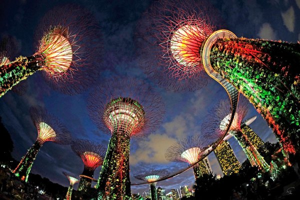 Singapore Gardens by the Bay #2, 2016-CHG-918446