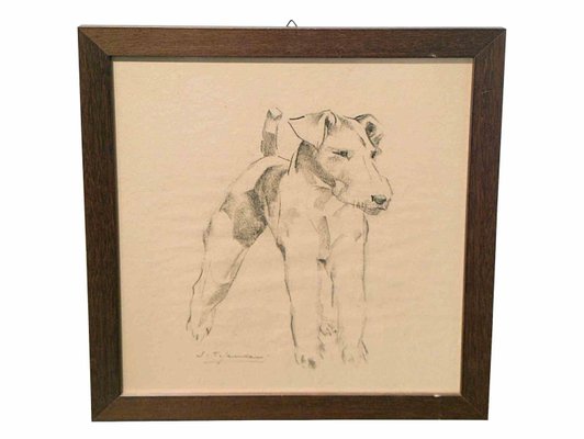 Sirio Tofanari, Fox Terrier (2), Drawing, 1920s-ZCI-2025115