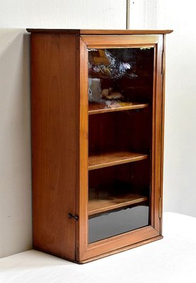 Small 19th Century Birch Wall Display Cabinet-RVK-731687