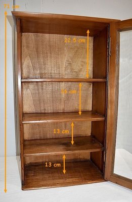 Small 19th Century Birch Wall Display Cabinet-RVK-731687