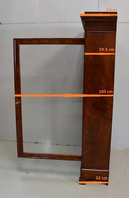 Small 19th Century Burl Veneer and Mahogany Display Cabinet-RVK-708990