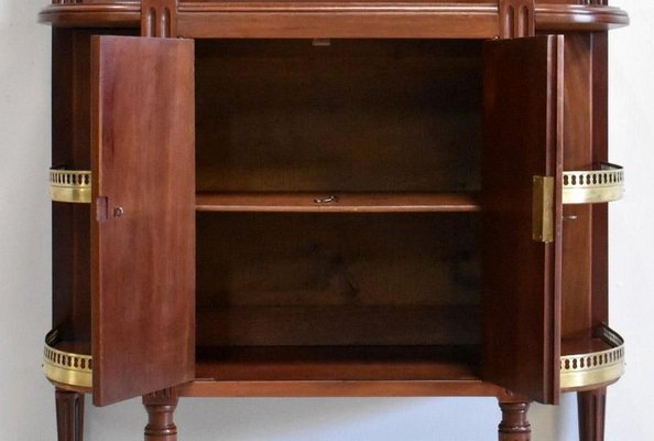 Small 19th Century Mahogany Cabinet-RVK-891314