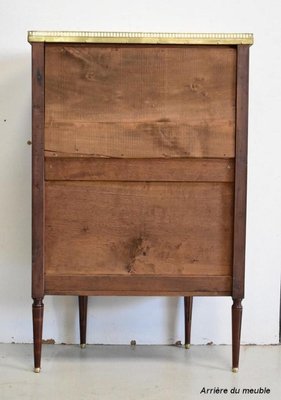 Small 19th Century Mahogany Cabinet-RVK-891314