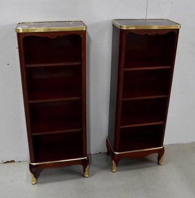 Small 19th Century Mahogany Cabinets by Paul Sormani, Set of 2-RVK-803541