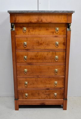 Small 19th Century Retour d’Égypte Birch Cabinet-RVK-628226