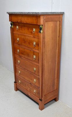 Small 19th Century Retour d’Égypte Birch Cabinet-RVK-628226