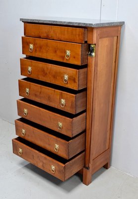 Small 19th Century Retour d’Égypte Birch Cabinet-RVK-628226