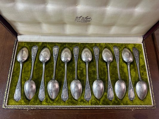 Small Antique Spoons, 1900, Set of 12-BFK-2040210