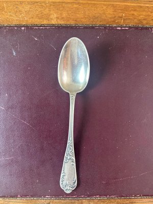 Small Antique Spoons, 1900, Set of 12-BFK-2040210