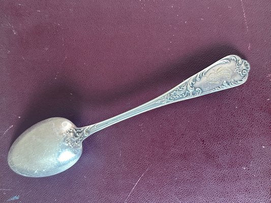 Small Antique Spoons, 1900, Set of 12-BFK-2040210