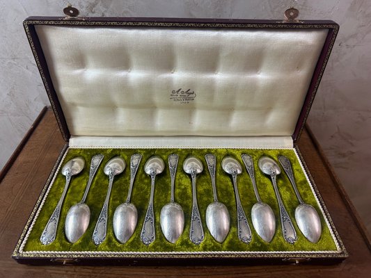 Small Antique Spoons, 1900, Set of 12-BFK-2040210