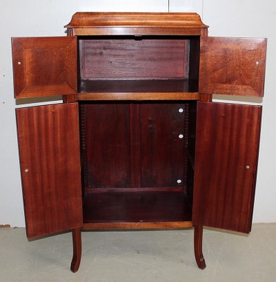 Small Art Nouveau Cabinet in Mahogany and Precious Wood, Early 20th Century-RVK-940947