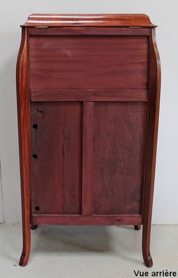 Small Art Nouveau Cabinet in Mahogany and Precious Wood, Early 20th Century-RVK-940947